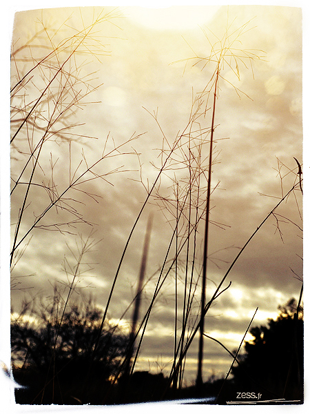 photo bulle