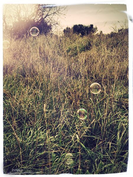 photo bulle