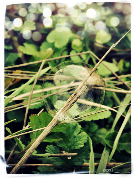 photo bulle