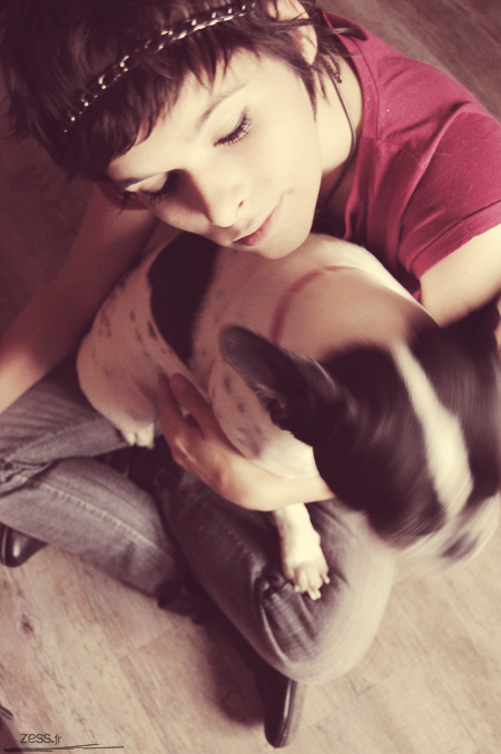 carlin bouledogue