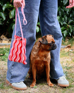 patron crochet pdf sac ondine